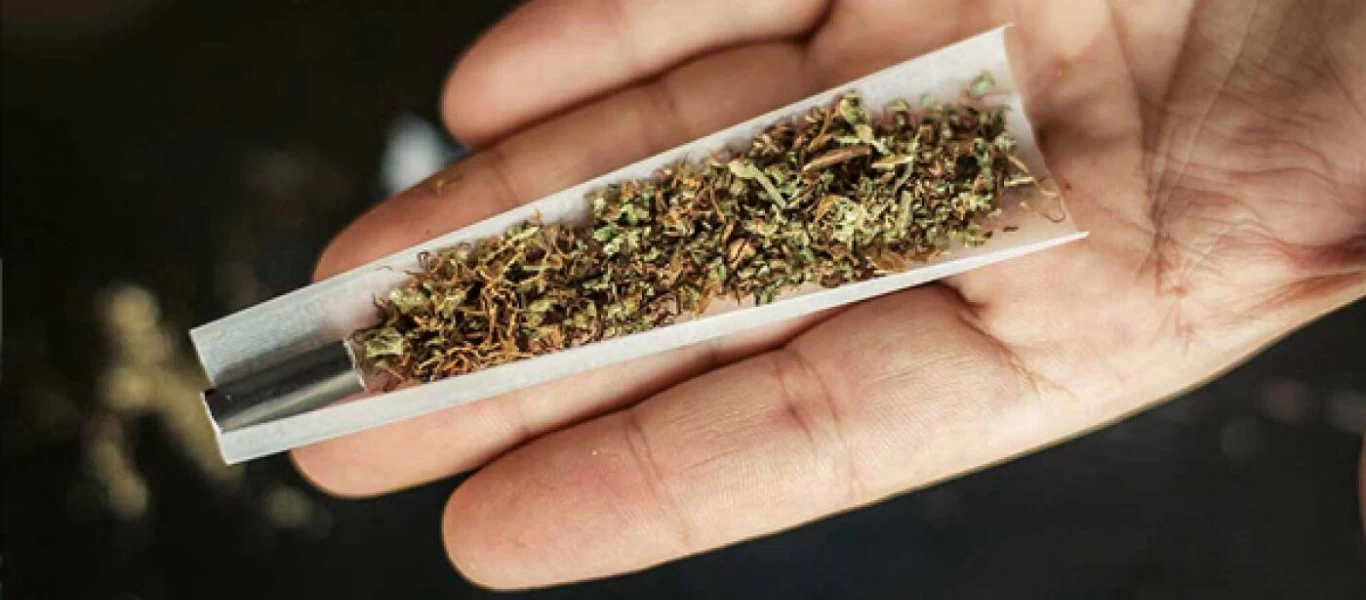 Νέα έρευνα: Η συχνή χρήση κάνναβης μπορεί να μειώσει τον δείκτη νοημοσύνης